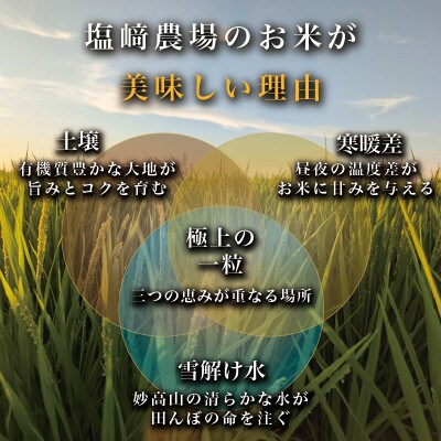 先行予約【12月中旬より順次出荷】令和8年産 新潟県 上越市産 ミルキークィーン 5kg 白米 精米