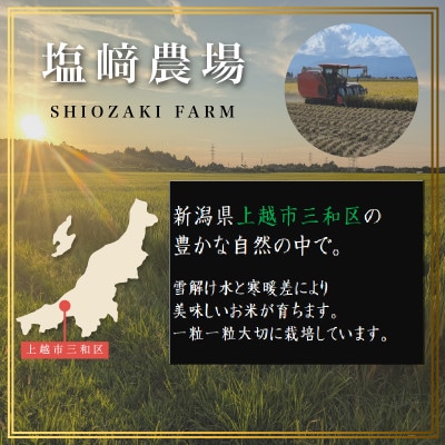 先行予約【11月中旬より順次出荷】令和8年産 新潟県 上越市産 にじのきらめき　10kg 白米 精米