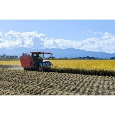【発送月固定定期便】10月下旬より順次出荷　新潟県上越市産　新之助　白米　5kg全3回