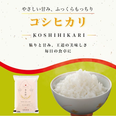 【発送月固定定期便】【10月より出荷予定】新潟県産コシヒカリ白米5kg全3回