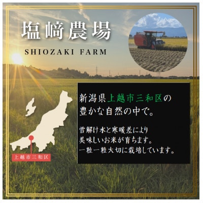 【発送月固定定期便】【10月より出荷予定】新潟県産コシヒカリ白米10kg全3回