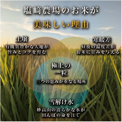 【発送月固定定期便】【10月より出荷予定】新潟県産 新之助 白米 5kg全3回
