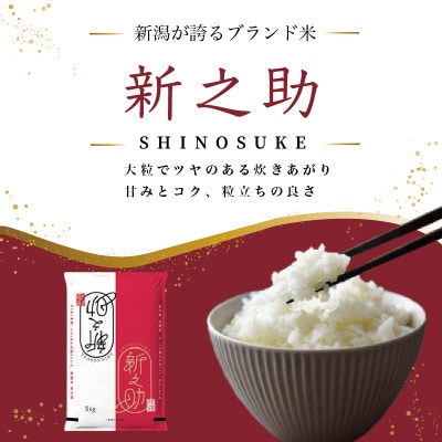 【発送月固定定期便】【10月より出荷予定】新潟県産 新之助 白米 5kg全3回