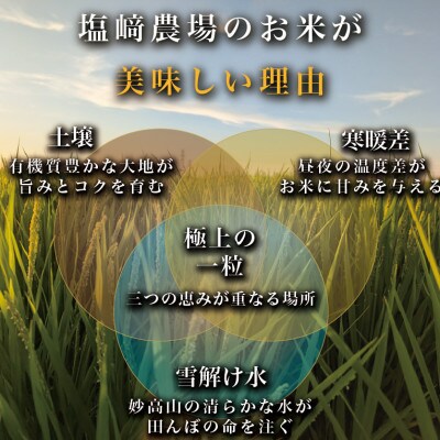 【発送月固定定期便】【10月より出荷予定】新潟県産にじのきらめき白米10kg全3回