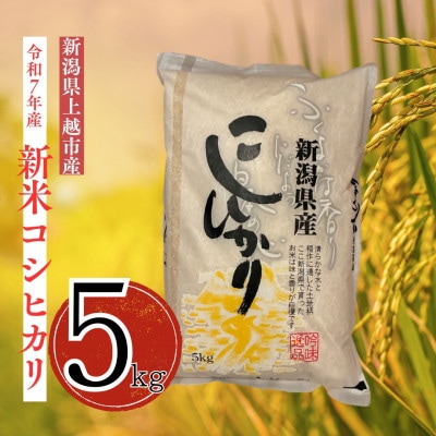 【令和7年産 新米】従来コシヒカリ (精米)5kg(新潟県上越市産)