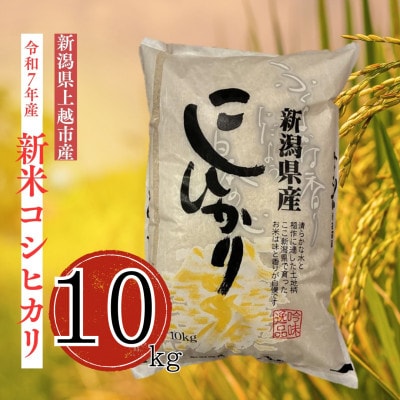 【令和7年産 新米】従来コシヒカリ(精米) 10kg(新潟県上越市産)
