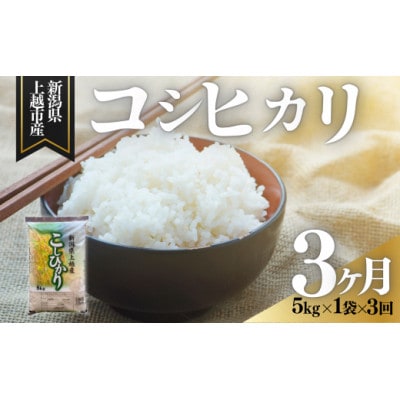 【発送月固定定期便】【2月下旬より発送予定】新潟県上越市産　コシヒカリ　精米　5kg全3回