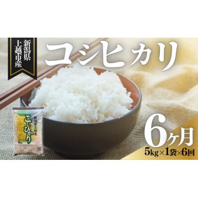 【発送月固定定期便】【2月下旬より発送予定】新潟県上越市産　コシヒカリ　精米　5kg全6回