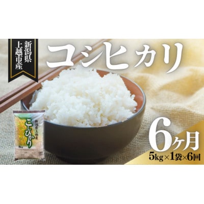 【発送月固定定期便】【4月中旬より発送予定】新潟県上越市産　コシヒカリ　精米　5kg全6回