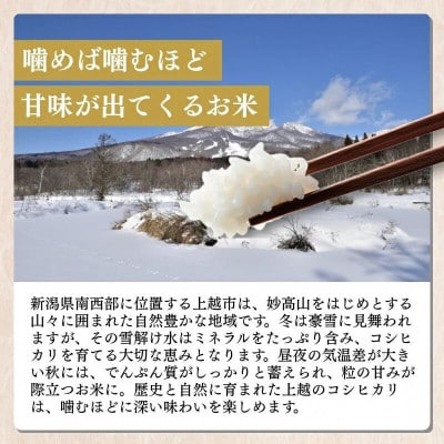 【発送月固定定期便】【4月中旬より発送予定】新潟県上越市産　コシヒカリ　精米　5kg全6回
