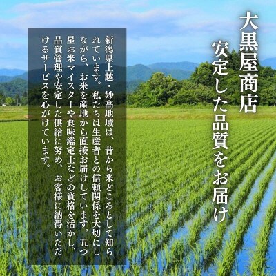 【発送月固定定期便】【7月中旬より発送予定】新潟県上越市産　新之助　精米　2kg全3回