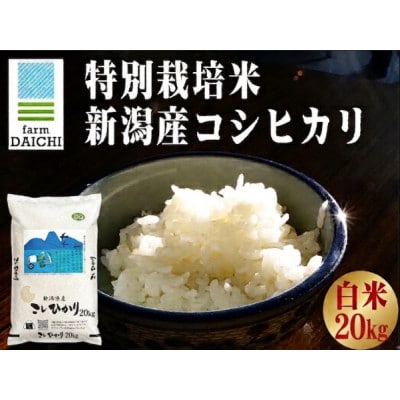 【特別栽培米 新潟産コシヒカリ 白米】新潟県認証米 令和7年産 20kg