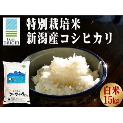 【特別栽培米 新潟産コシヒカリ 白米】新潟県認証米 令和7年産 15kg
