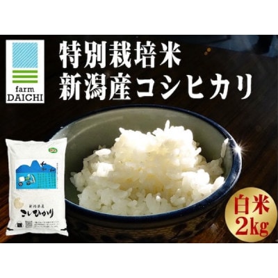 【特別栽培米 新潟産コシヒカリ 白米】新潟県認証米 令和7年産 2kg