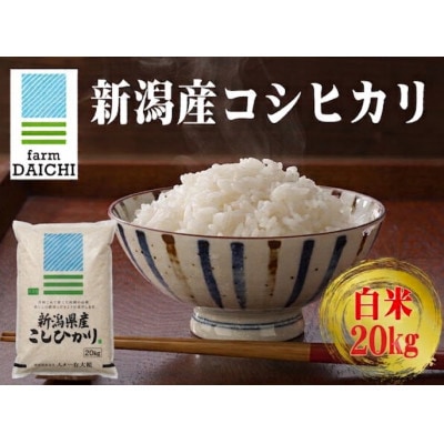 【新潟産コシヒカリ 20kg 白米】農家直送 令和7年産