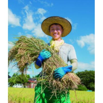 【新潟産コシヒカリ 2kg 白米】農家直送 令和7年産