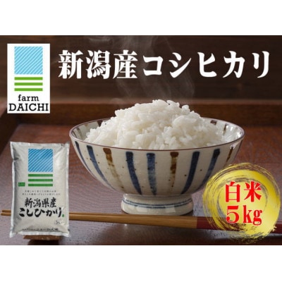 【新潟産コシヒカリ 5kg 白米】農家直送 令和7年産