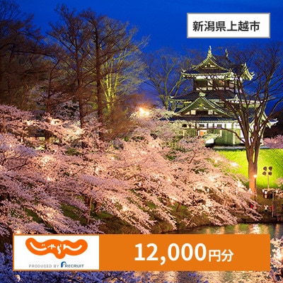 【じゃらんふるさと納税クーポン】 新潟県上越市でつかえる12,000円 クーポン