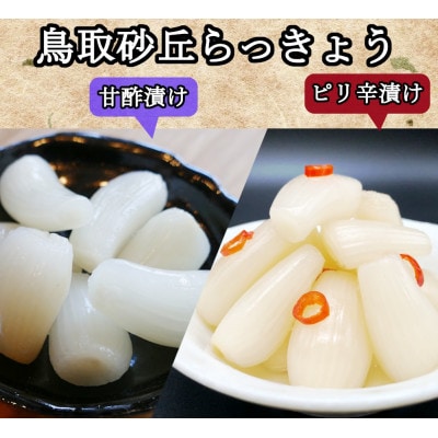 ふぞろいらっきょう甘酢/ピリ辛漬け 詰め合わせ 190g×10袋