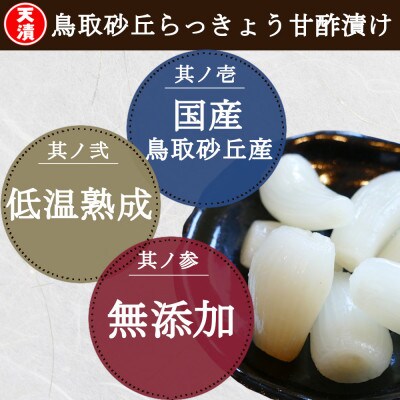 ふぞろいらっきょう甘酢/ピリ辛漬け 詰め合わせ 190g×10袋