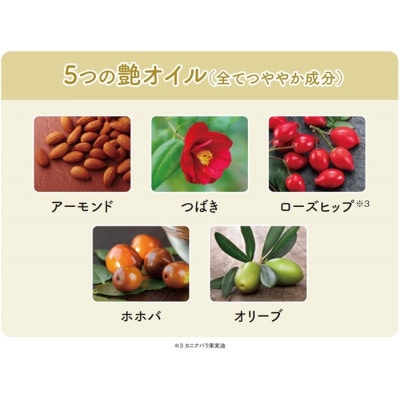 サロン ド プロ カラートリートメント 〈ダークブラウン〉　3個セット　(18376)
