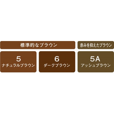 ダリヤ　サロン　ド　プロ　ヘアマニキュア・スピーディ《ナチュラルブラウン》3個セット