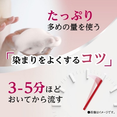 ダリヤ　サロン　ド　プロ　カラーシャンプー 《ダークブラウン》3個セット