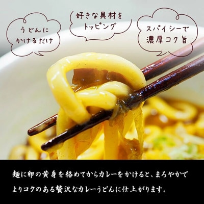和食麺処サガミ 和ダシが利いた濃厚コク旨カレーうどんの素(10食入り)中辛 具材入り レトルト