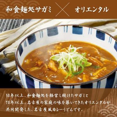 和食麺処サガミ 和ダシが利いた濃厚コク旨カレーうどんの素(10食入り)中辛 具材入り レトルト
