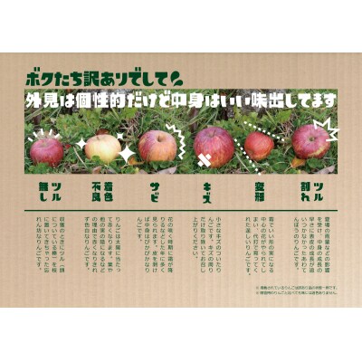 【ご家庭用】 りんご 「サンふじ」約3kg 【 産地直送 数量限定 】