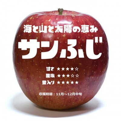 【ご家庭用】 りんご 「サンふじ」約3kg 【 産地直送 数量限定 】