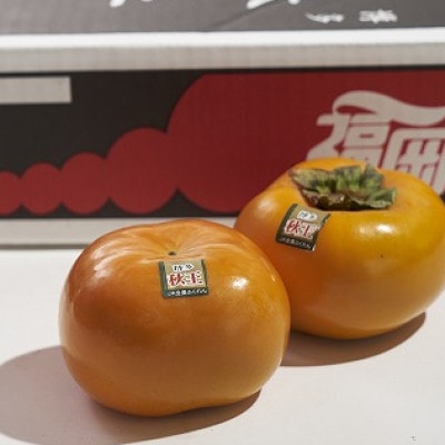 福岡県産限定オリジナル柿・秋王・約1.5kg(福岡市返礼品)