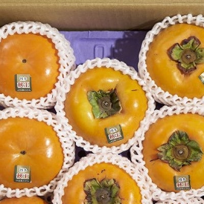 福岡県産限定オリジナル柿・秋王・約1.5kg(福岡市返礼品)