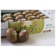 福岡県産限定オリジナルキウイ・甘うぃ約3kg(福岡市返礼品)