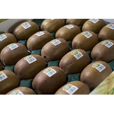 福岡県産限定オリジナルキウイ・甘うぃ約3kg(福岡市返礼品)
