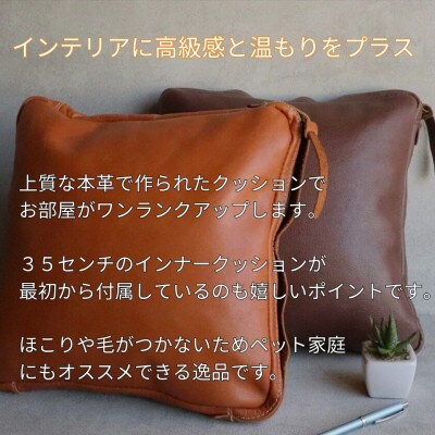 【革工房Japlish】本革クッションカバー【ブラック】クッション付属《本革製品》 EJ03VC01