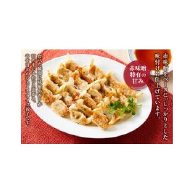 【毎月定期便】博多ひとくち餃子(25個入り)×6パック　EX18全6回