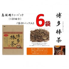 博多棒茶6袋セット