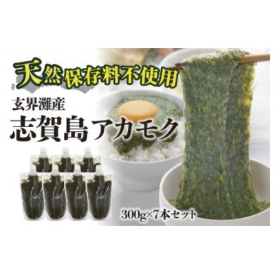 玄界灘産  アカモク(300g×7本　計2.1kg) HR13