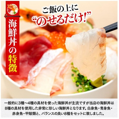 福岡市グルメ 糸島海鮮堂の 8種の海鮮丼3食セット