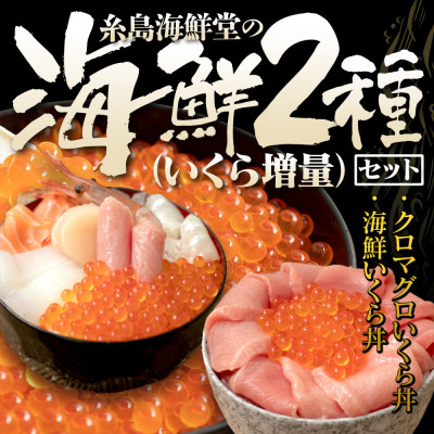 福岡市グルメ 糸島海鮮堂の海鮮2種(いくら増量)セット GT06