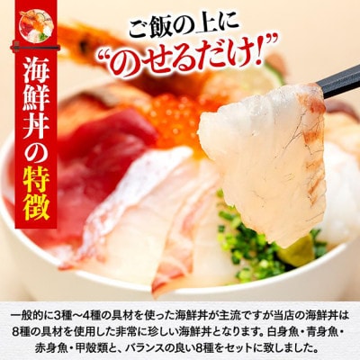 福岡市グルメ糸島海鮮堂の8種の海鮮丼・沖漬けセット　各1袋 GT08