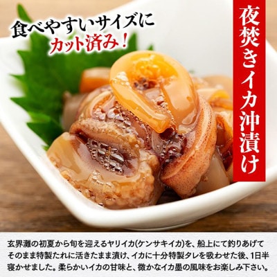 福岡市グルメ糸島海鮮堂の8種の海鮮丼・沖漬けセット　各1袋 GT08