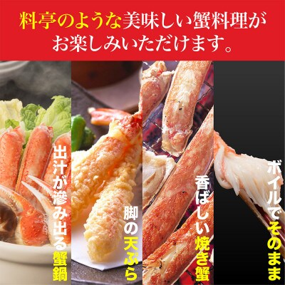 ズワイガニ ハーフポーション 800g ボイル・カット済み＜福岡市製造＞ JB01