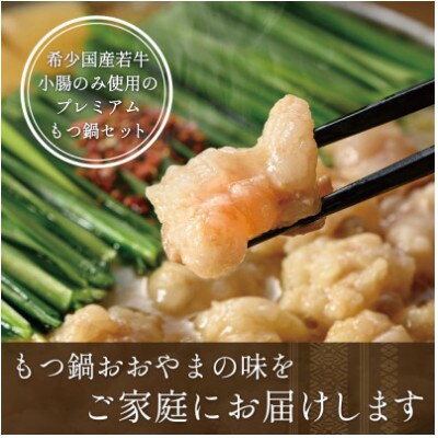 【毎月定期便】博多もつ鍋おおやま　みそ味3人前・しょうゆ味3人前(交互)(福岡市)全6回 FU29