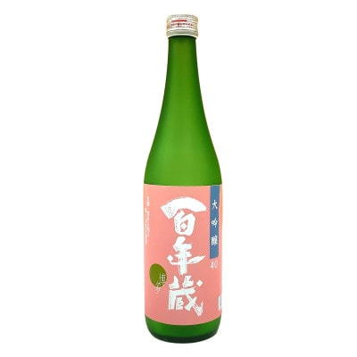石蔵酒造の博多の銘酒 清酒720ml 2本セット GK12
