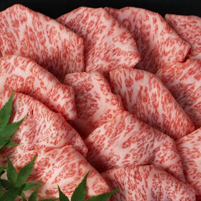 博多和牛　特選しゃぶしゃぶ(400g)(福岡市) BL04