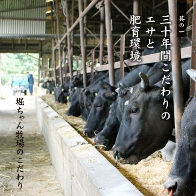 博多和牛　特選しゃぶしゃぶ(400g)(福岡市) BL04