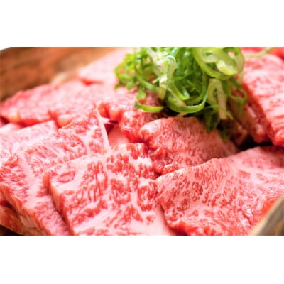 博多和牛焼肉用　500g(福岡市) EK21