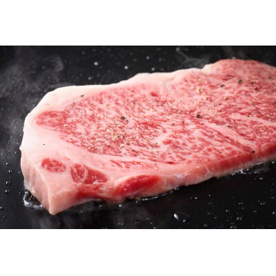 博多和牛サーロインステーキ　250g(250g×1枚)(福岡市) EK23